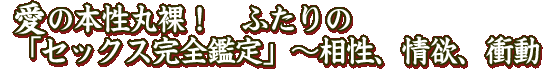 �����������硪���դ���Ρ֥��å�����������ס����������ߡ���ư